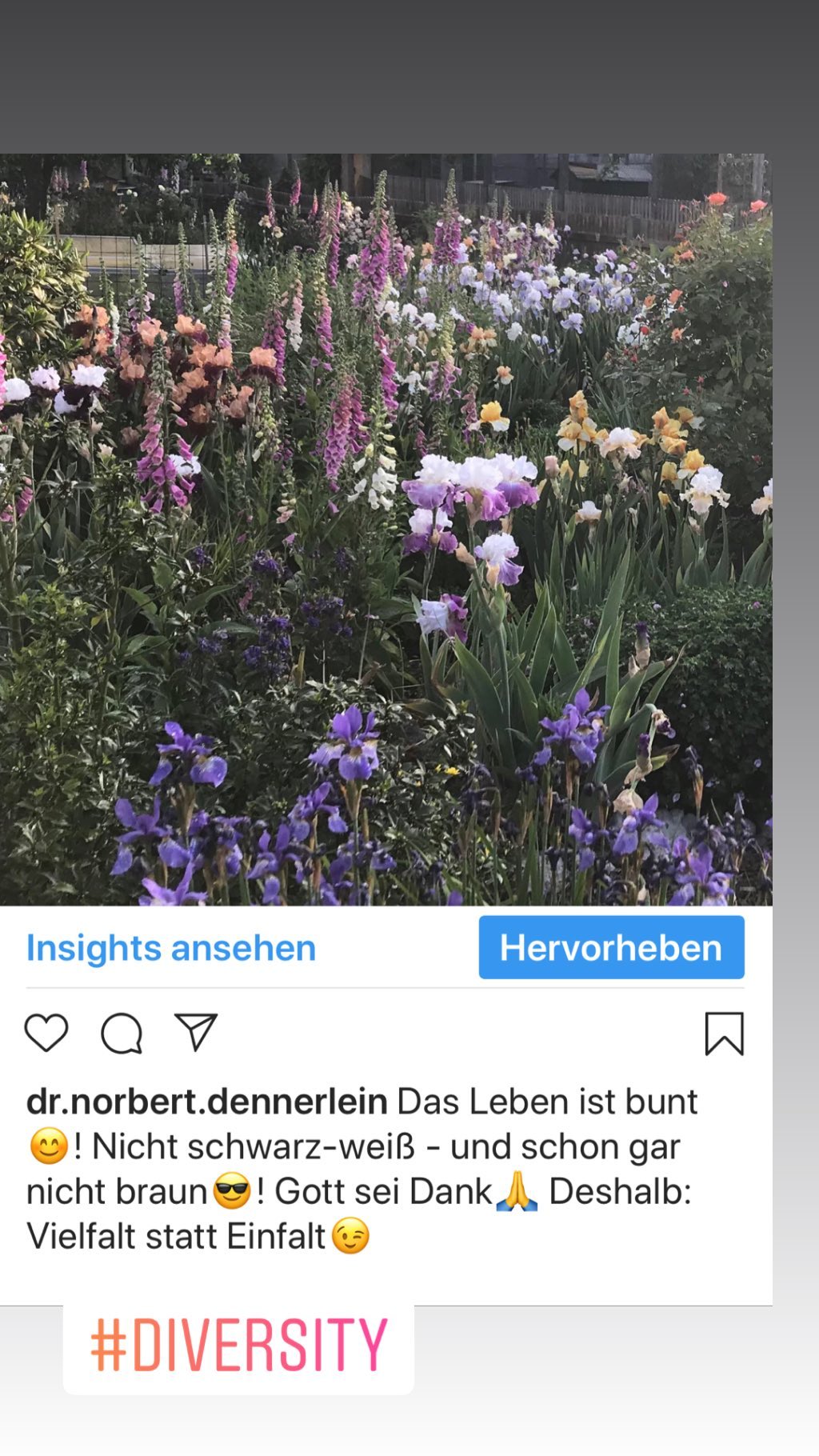 Juni 2019 - (4): Insights ansehen oOQAY N dr 1 Insights ansehen oOQAY N dr