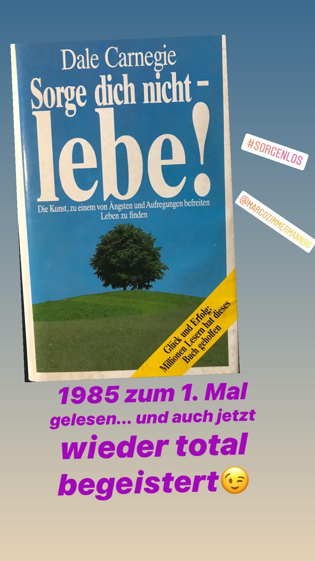 Dale Carnegie Sorge dich nicht > 1985 zum 1