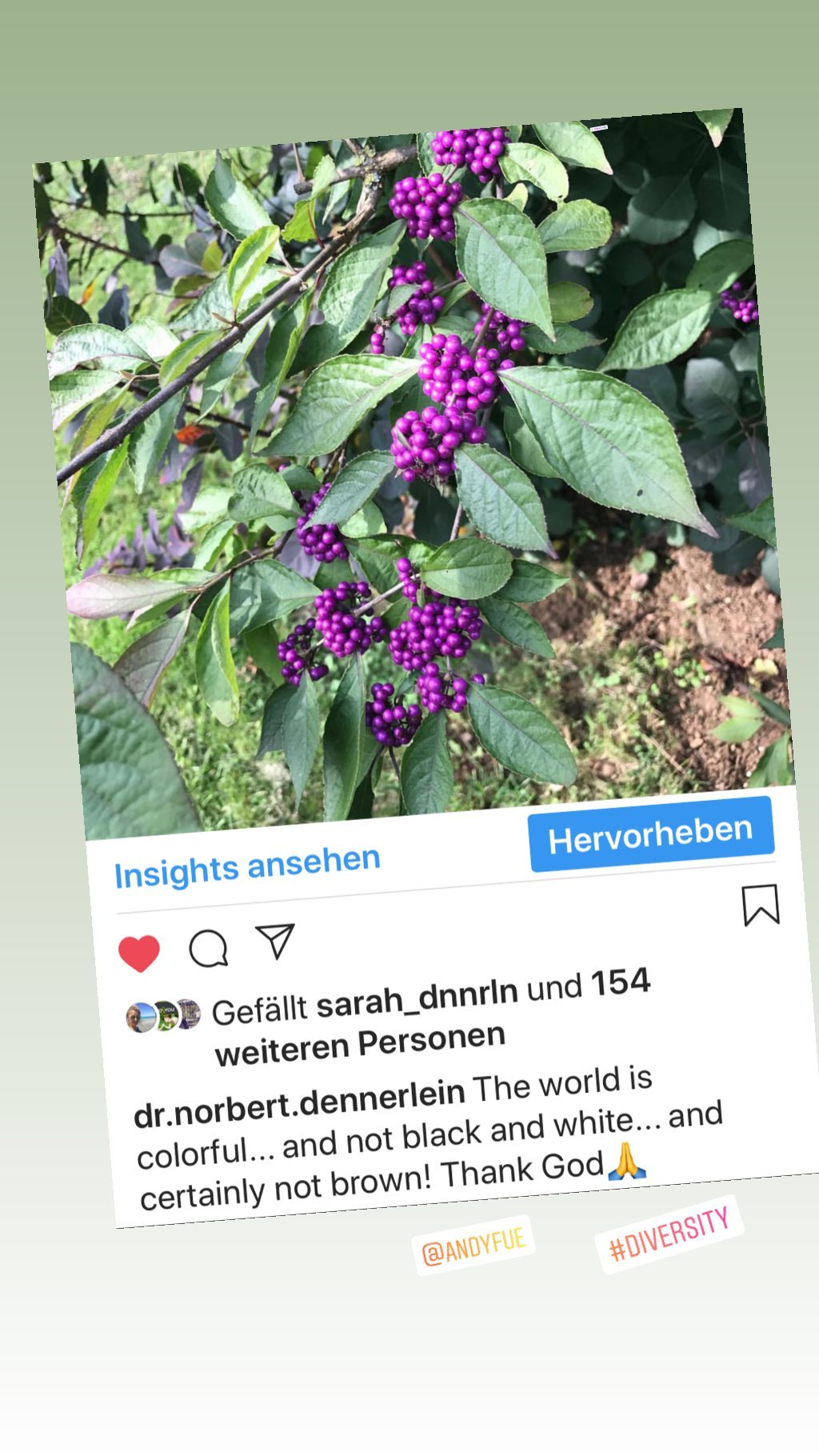 Insights ansehen oQY PP Gefällt sarah_dnnrin und 154 weiteren Personen dr