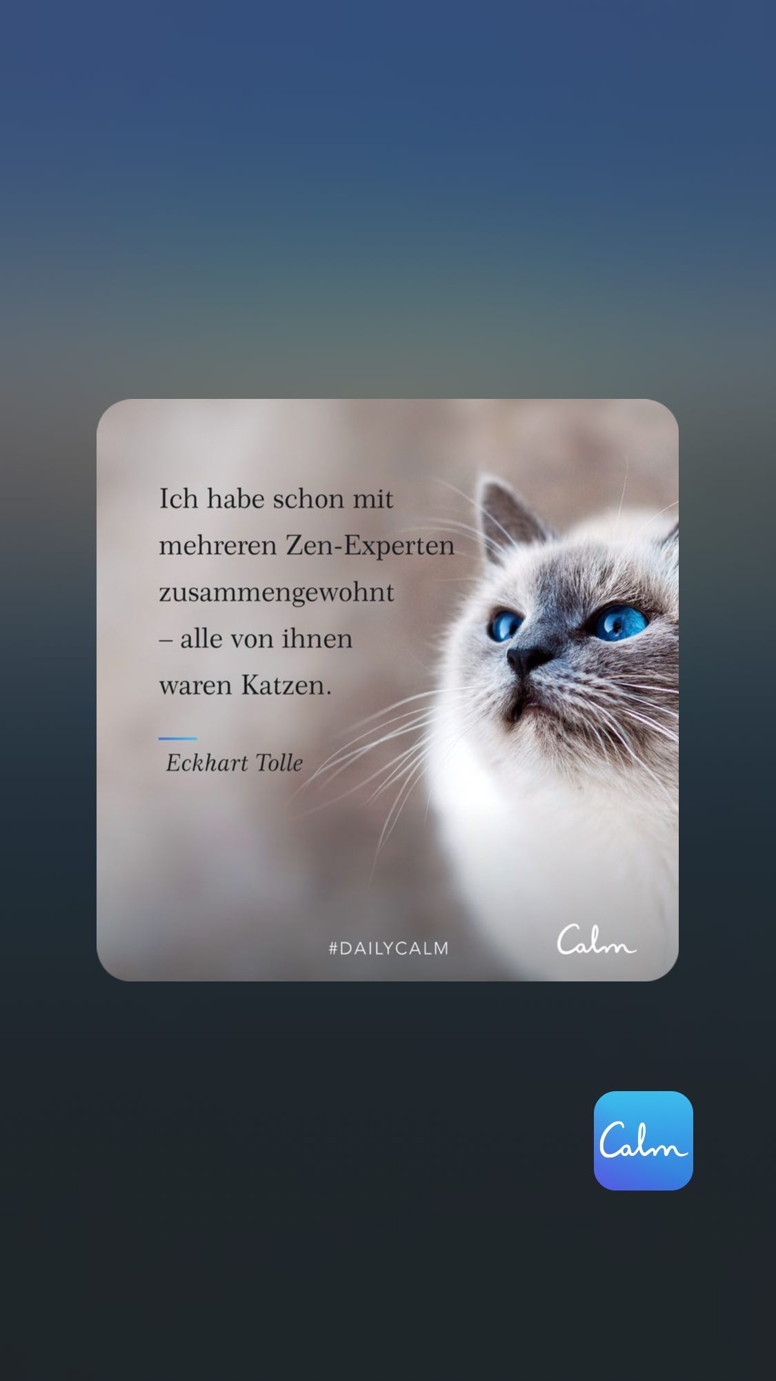 Ich habe schon mit mehreren Zen - Experten zusammengewohnt - alle von ihnen waren