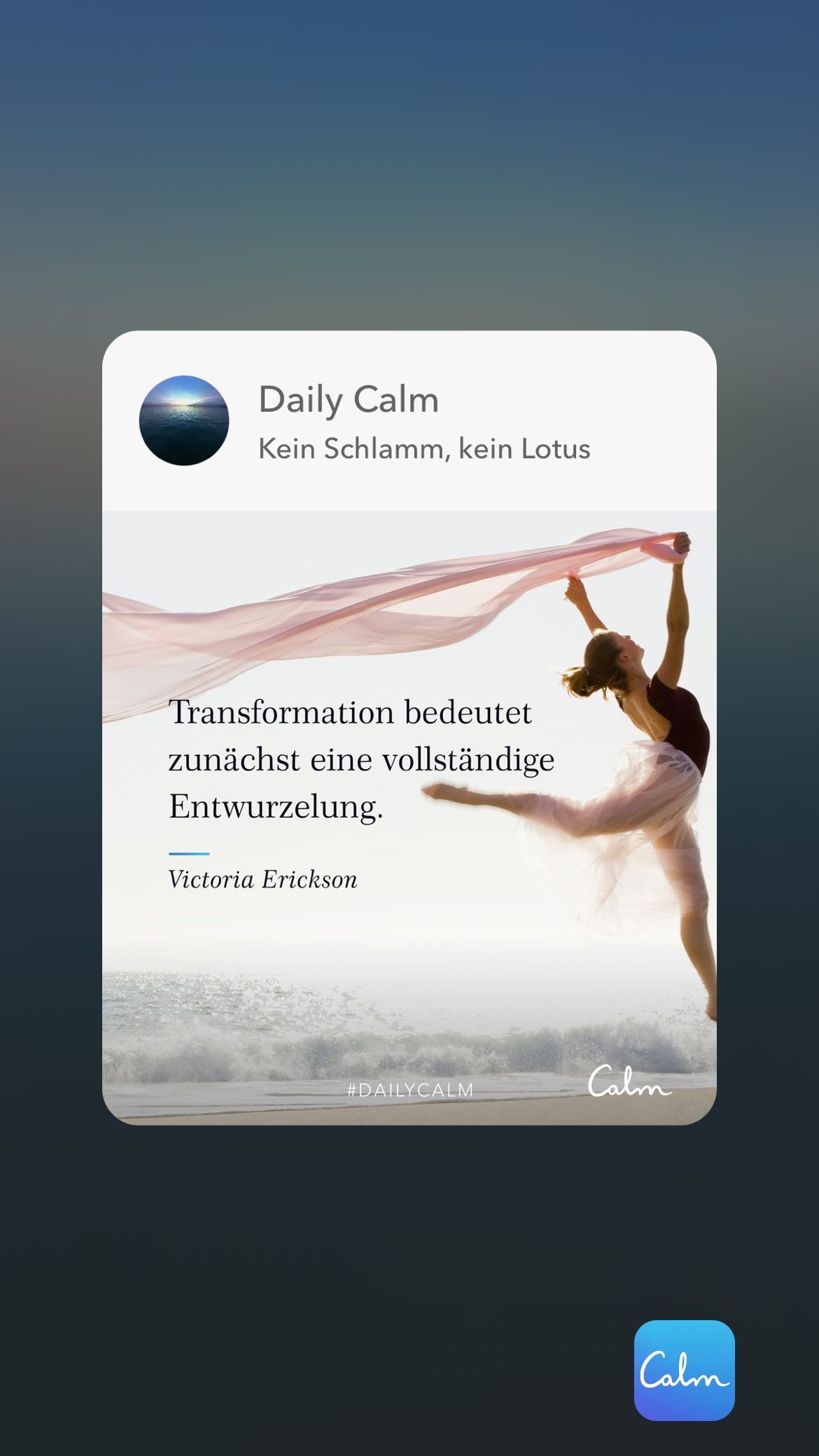 Daily Calm Kein Schlamm, kein Lotus Transformation bedeutet zunächst eine vollständige Entwurzelung