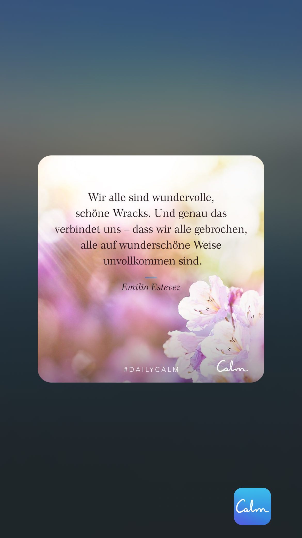 Wir alle sind wundervolle, schöne Wracks