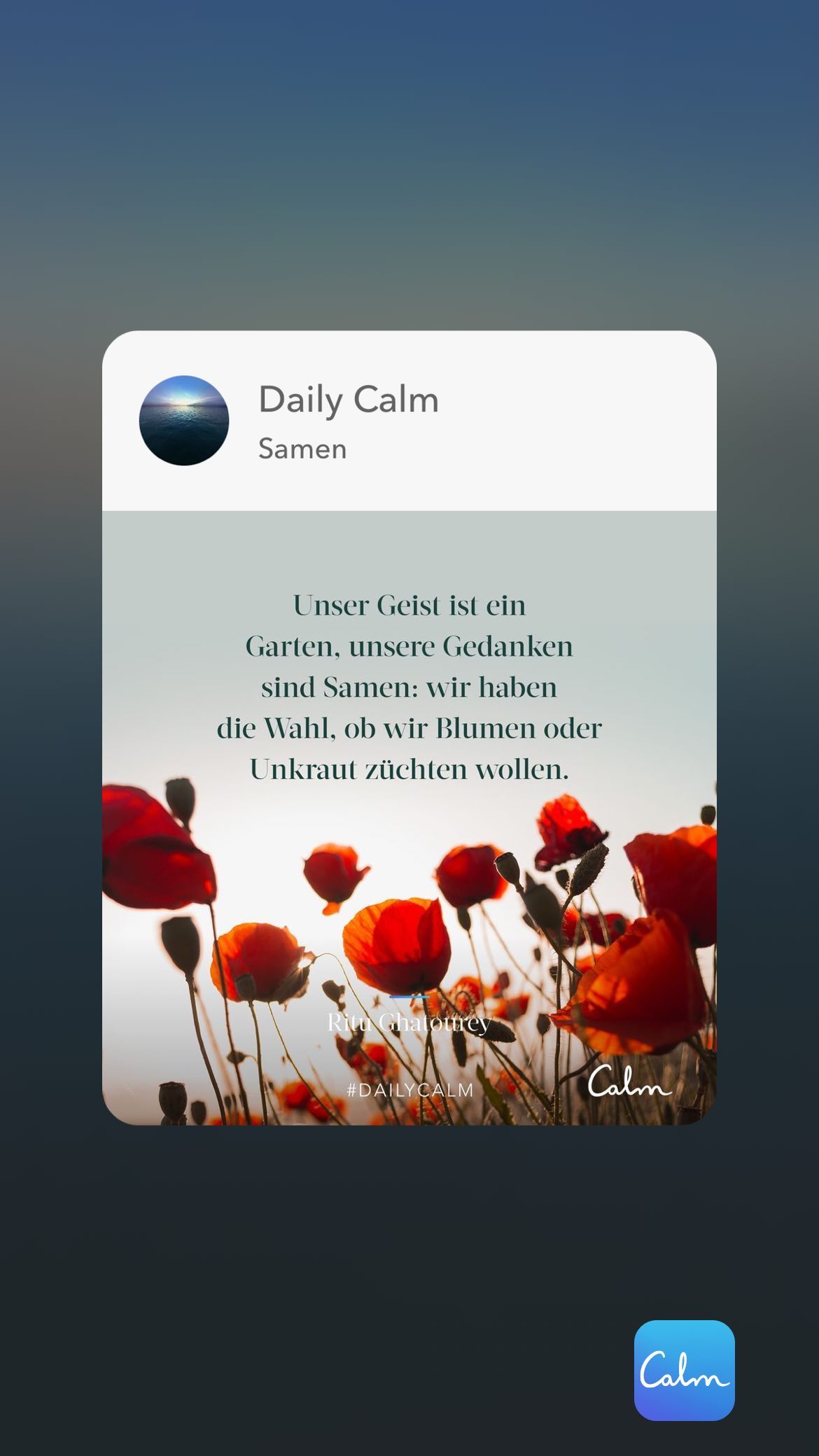 Daily Calm Samen Unser Geist ist ein Garten, unsere Gedanken sind Samen: wir haben