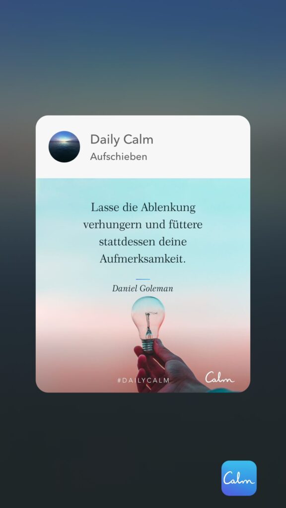 Dr. Norbert Dennerlein: Daily Calm Aufschieben Lasse die Ablenkung verhungern und füttere stattdessen deine Aufmerksamkeit