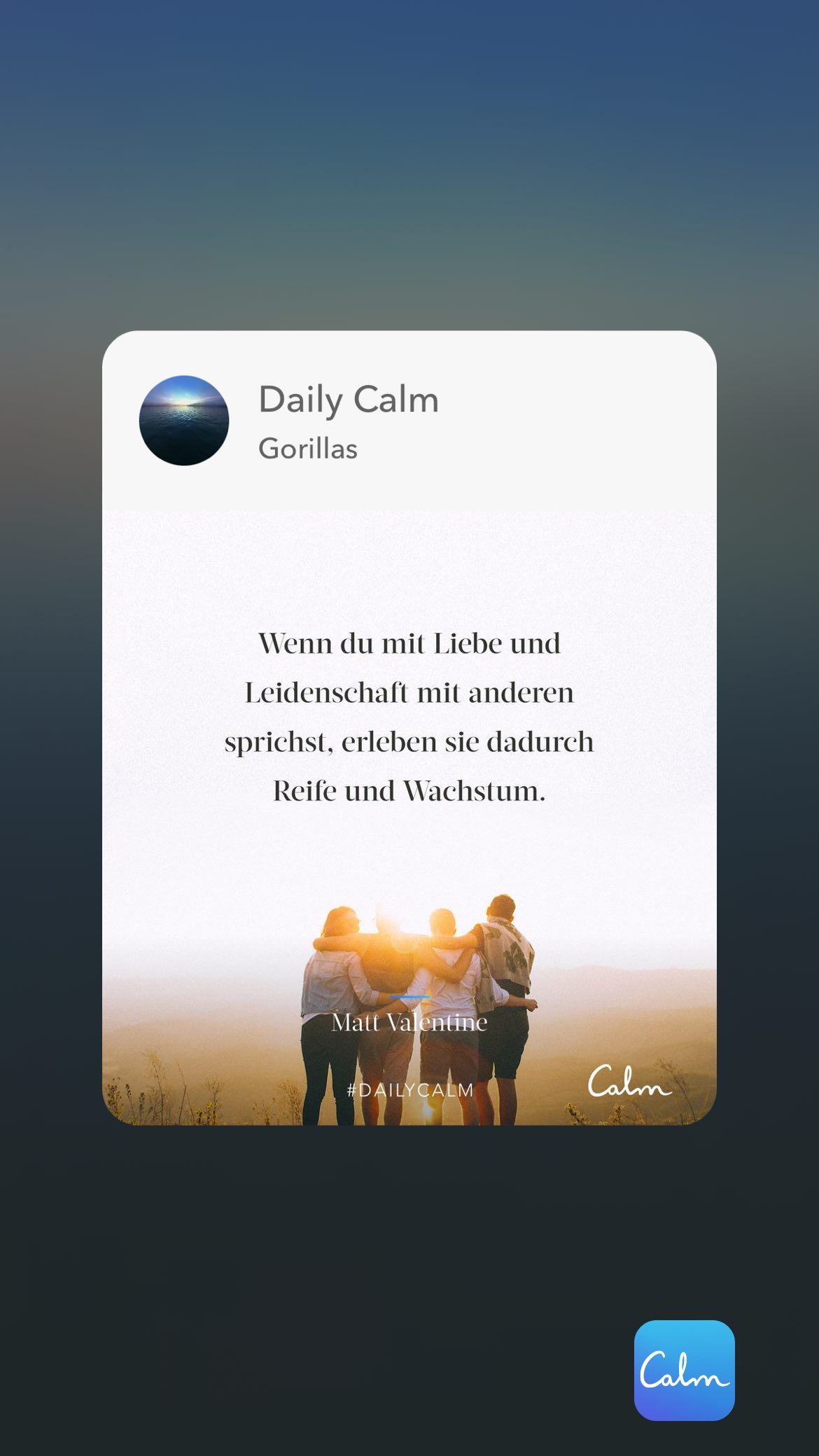 Daily Calm Gorillas Wenn du mit Liebe und nschaft mit: sprichst, erleben sie dadurch