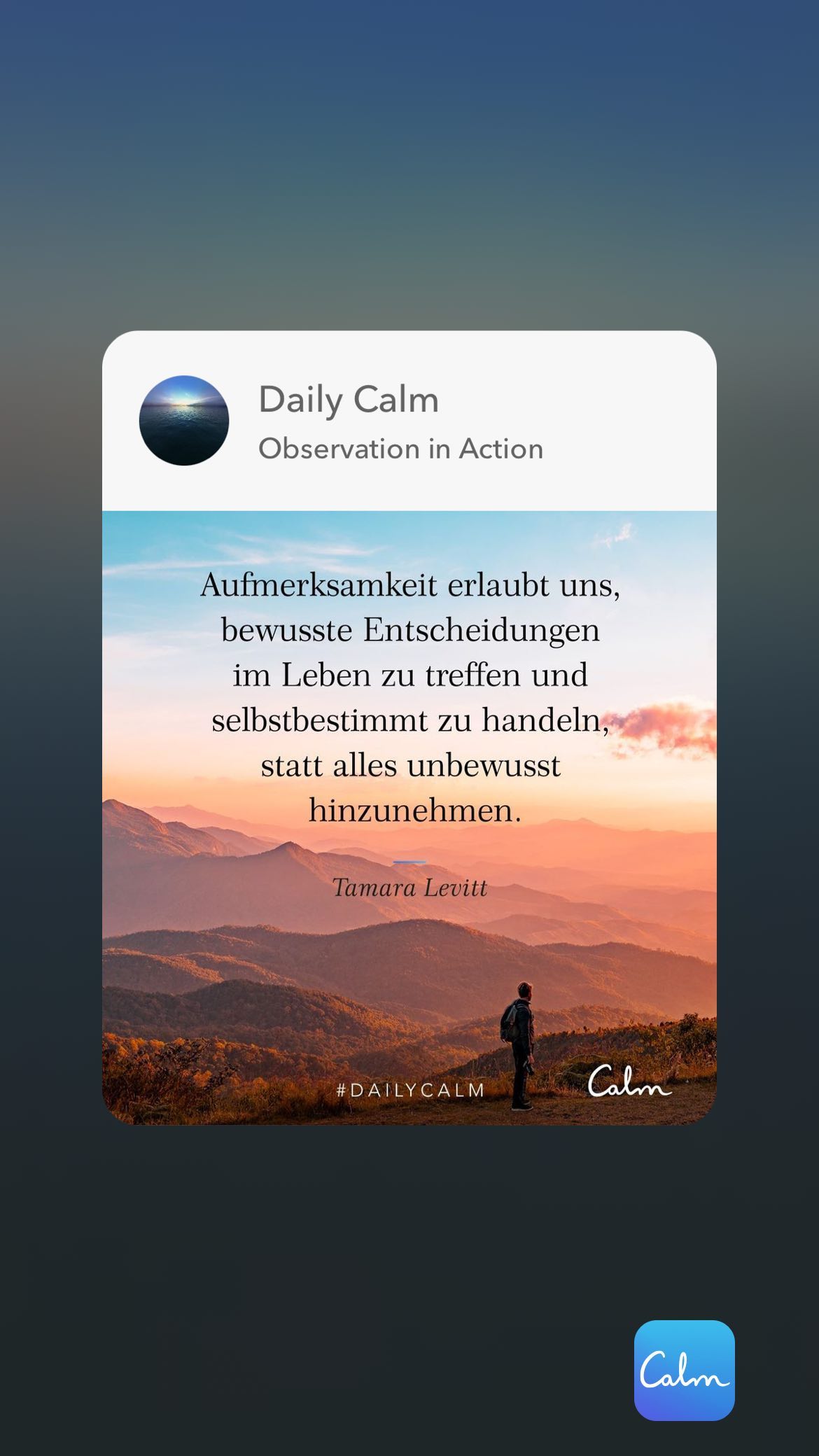 Daily Calm Observation in Action Aufmerksamkeit erlaubt uns, bewusste Entscheidungen im Leben zu treffen