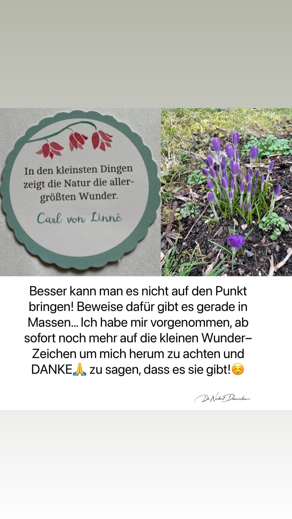 In den kleinsten Dingen zeigt die Natur die aller - größten Wunder