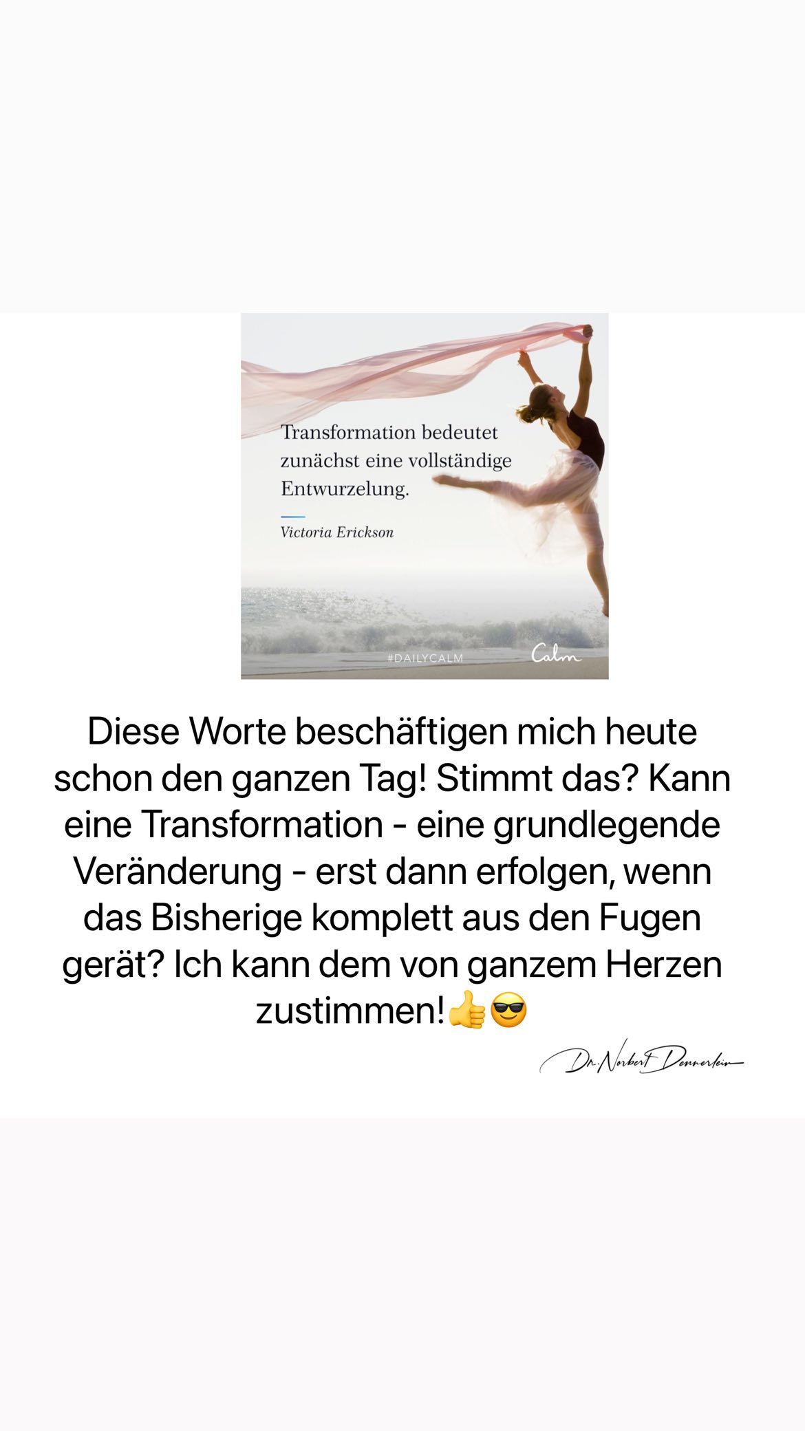 Transformation bedeutet zunächst eine vollständige Entwurzelung