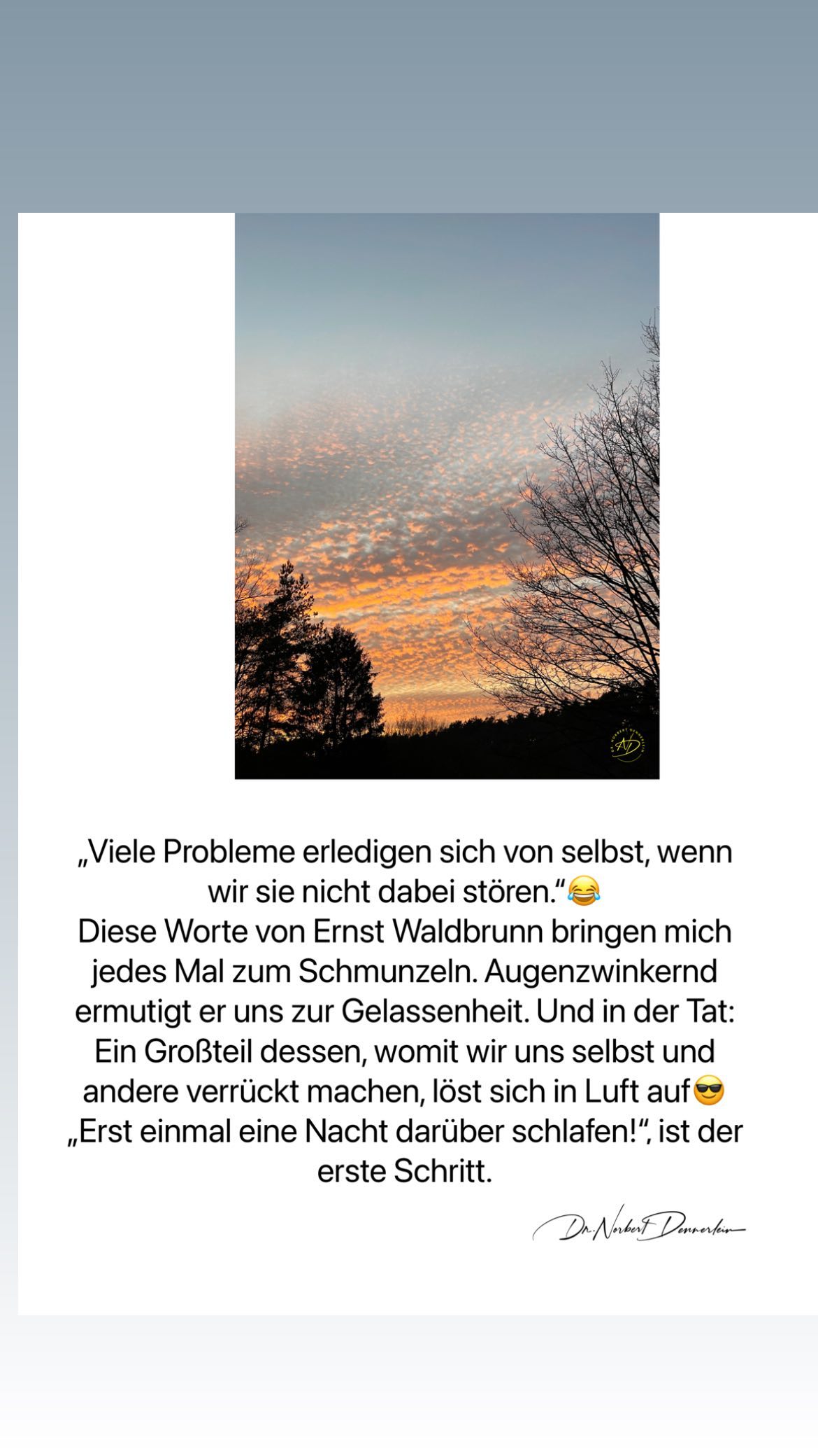 „Viele Probleme erledigen sich von selbst, wenn wir sie nicht dabei stören