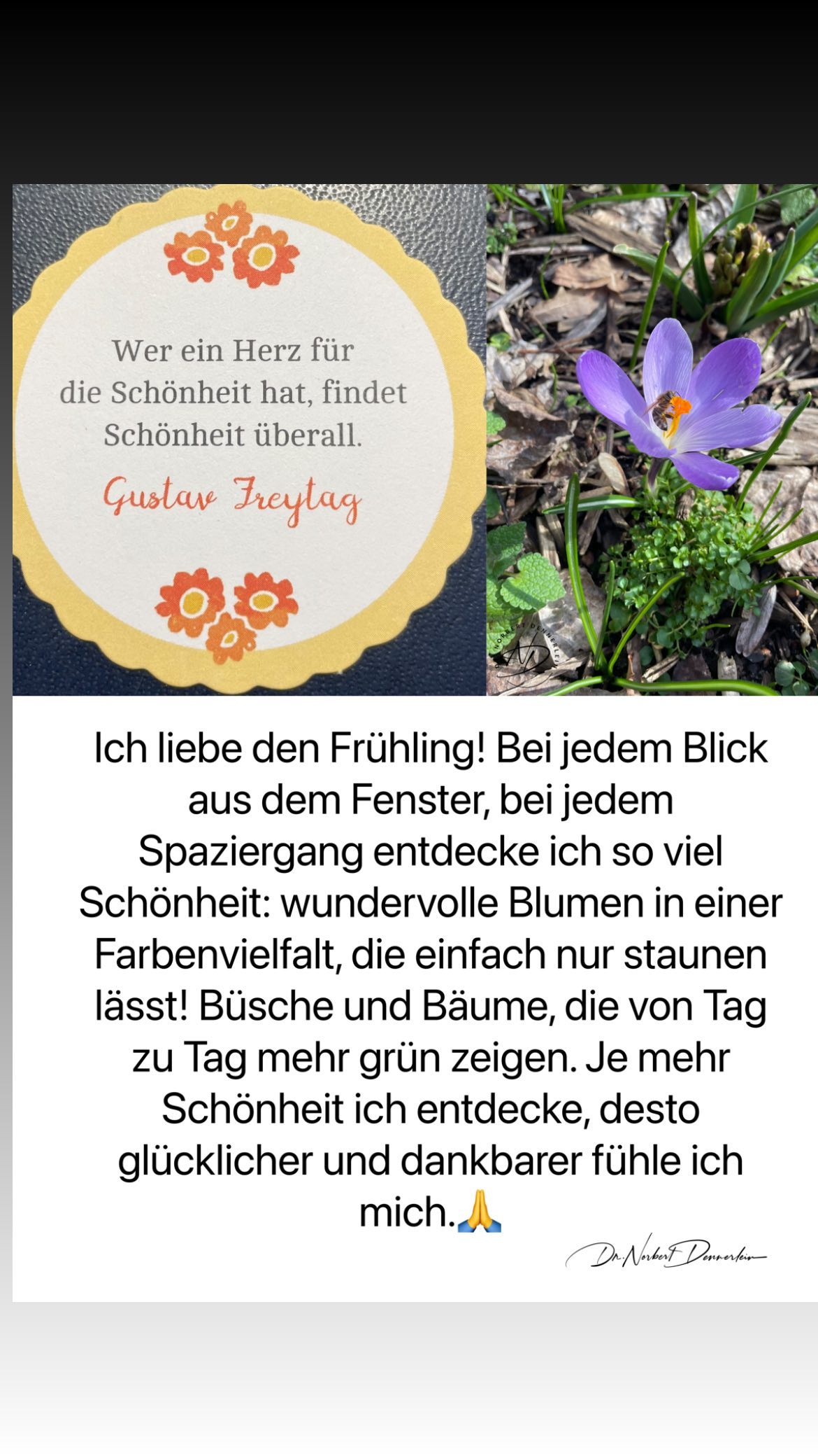 Wer ein Herz für die Schönheit hat, findet Schönheit überall