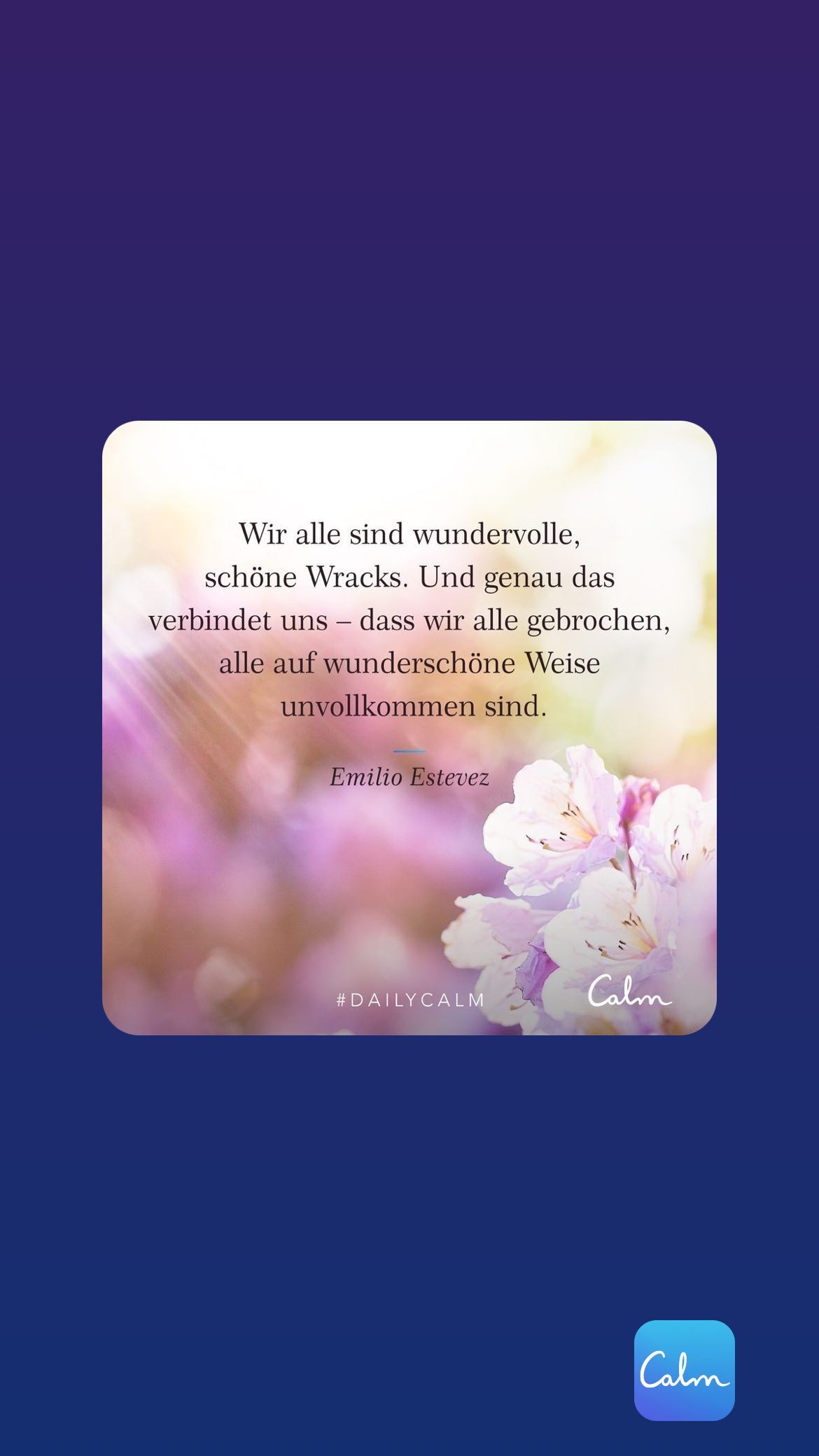 Wir alle sind wundervolle, schöne Wracks