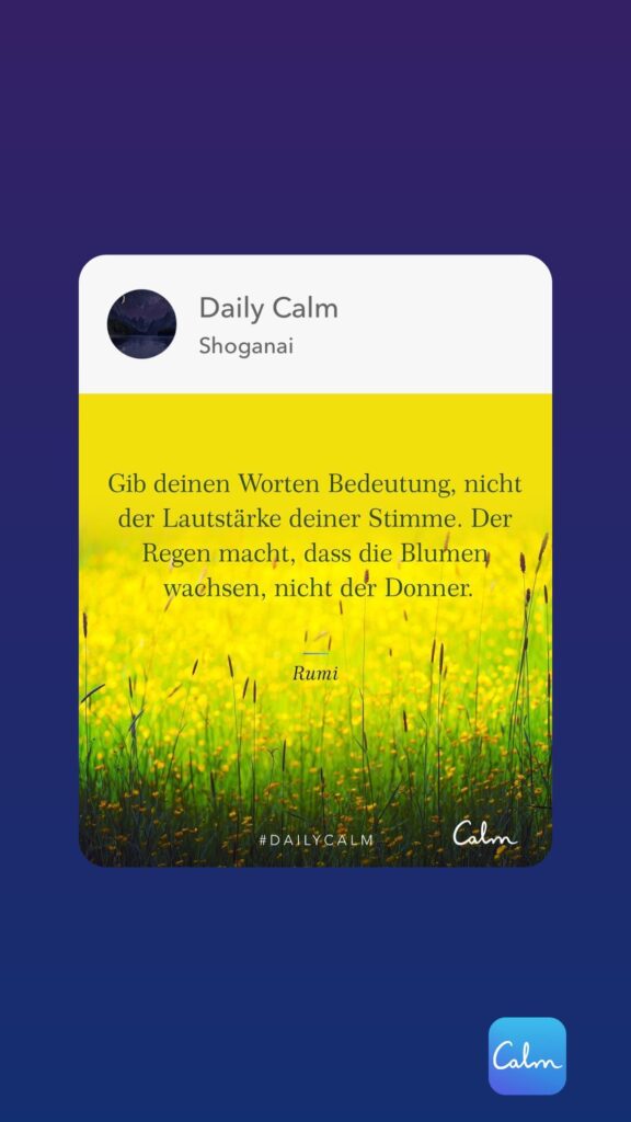 Dr. Norbert Dennerlein: Daily Calm Shoganai Gib deinen Worten Bedeutung, nicht der Lautstärke deiner Stimme