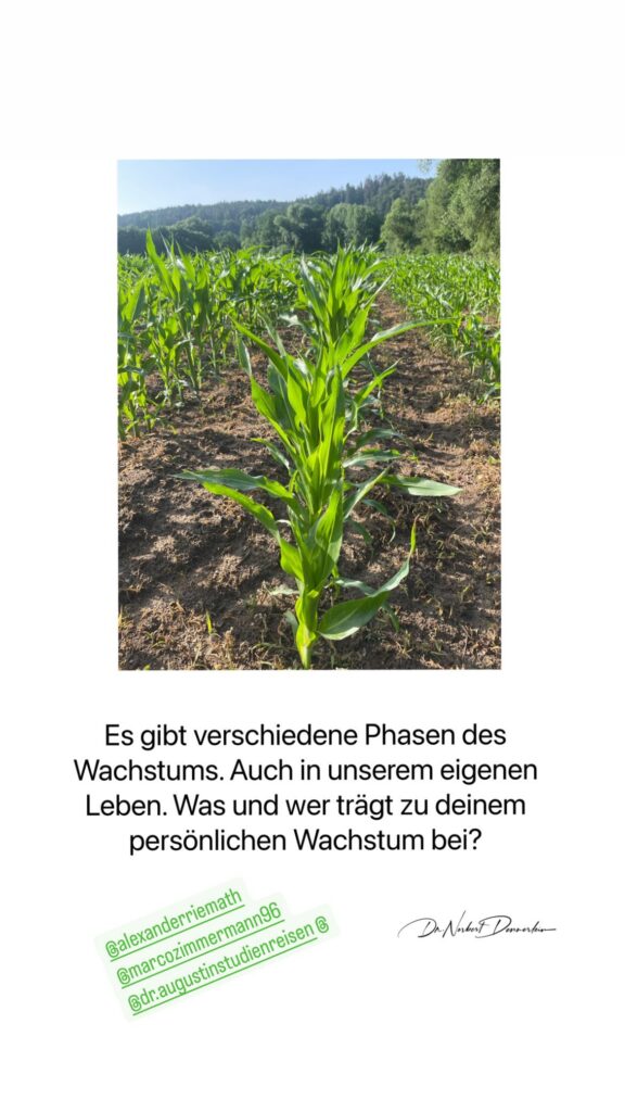 Dr. Norbert Dennerlein: Es gibt verschiedene Phasen des Wachstums