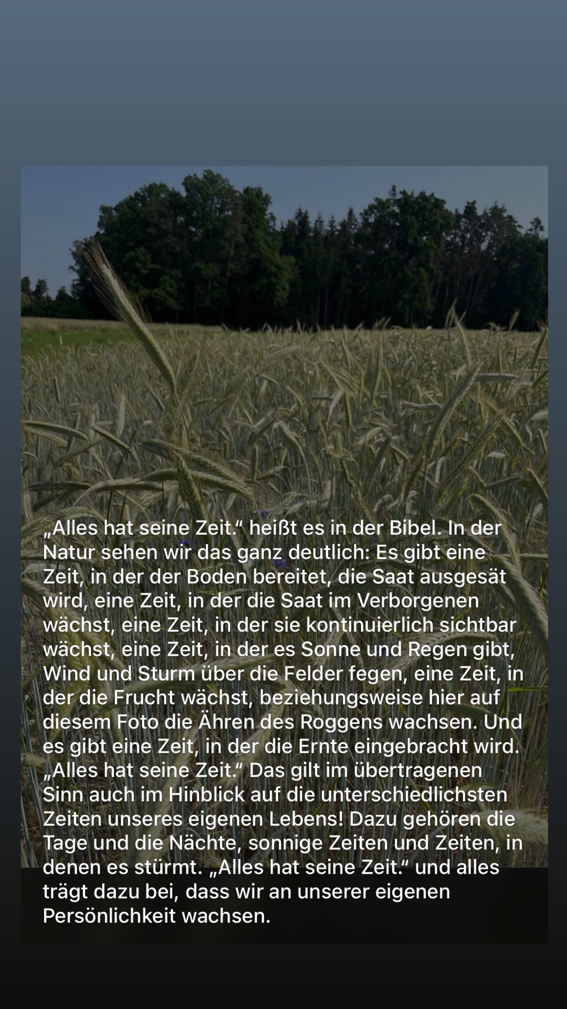 Und Sturm Über die, Felder fegen, Nazi in) diesen die, n | g S