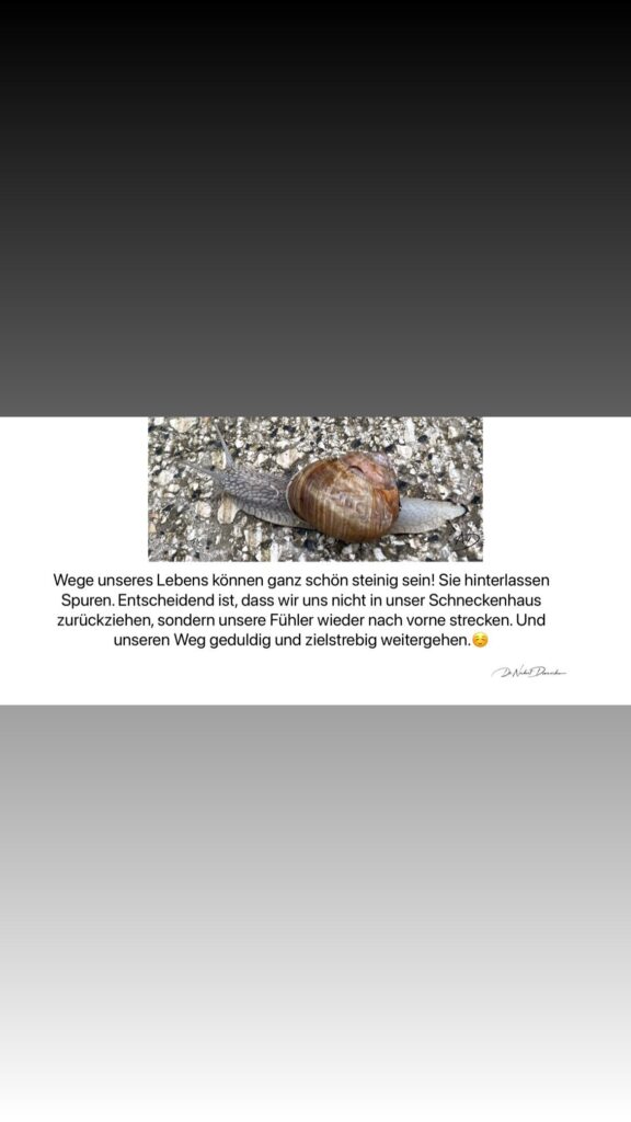 Dr. Norbert Dennerlein: Wege unseres Lebens können ganz schön steinig sein