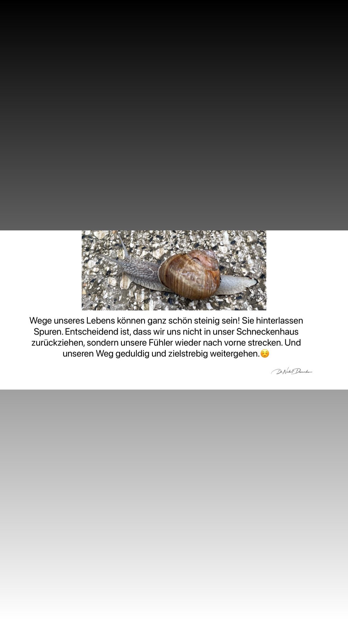 Wege unseres Lebens können ganz schön steinig sein