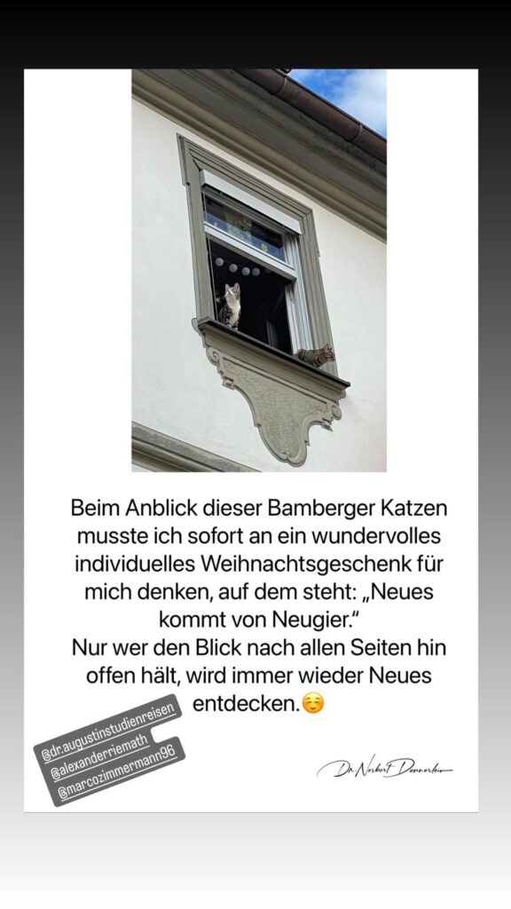 Dr. Norbert Dennerlein: Beim Anblick dieser Bamberger Katzen musste ich sofort an ein wundervolles individuelles Weihnachtsgeschenk für