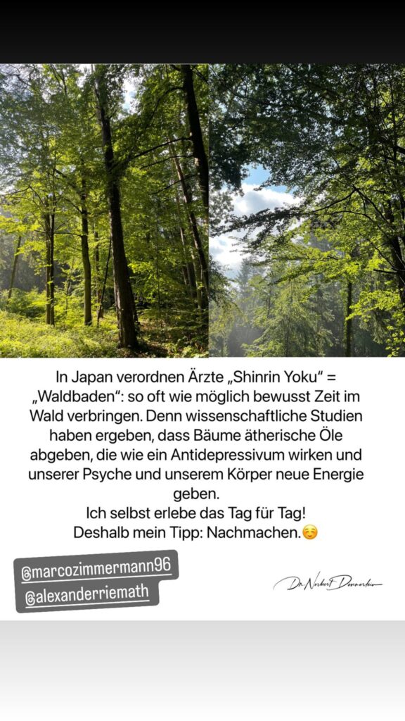 Dr. Norbert Dennerlein: In Japan verordnen Ärzte „Shinrin Yoku „Waldbaden