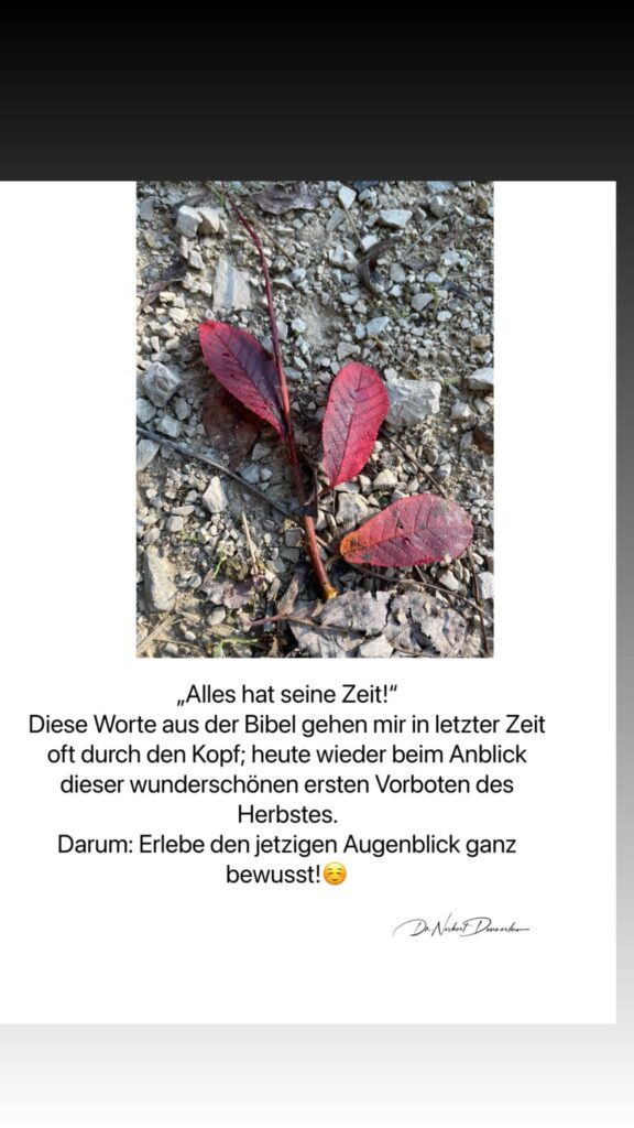 Dr. Norbert Dennerlein: „Alles hat seine Zeit