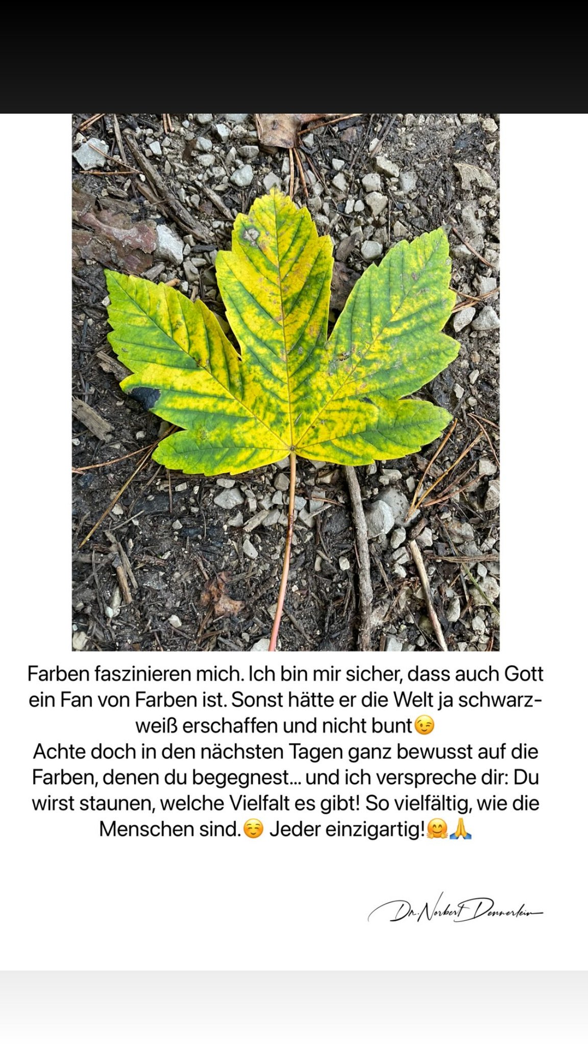 Farben faszinieren mich