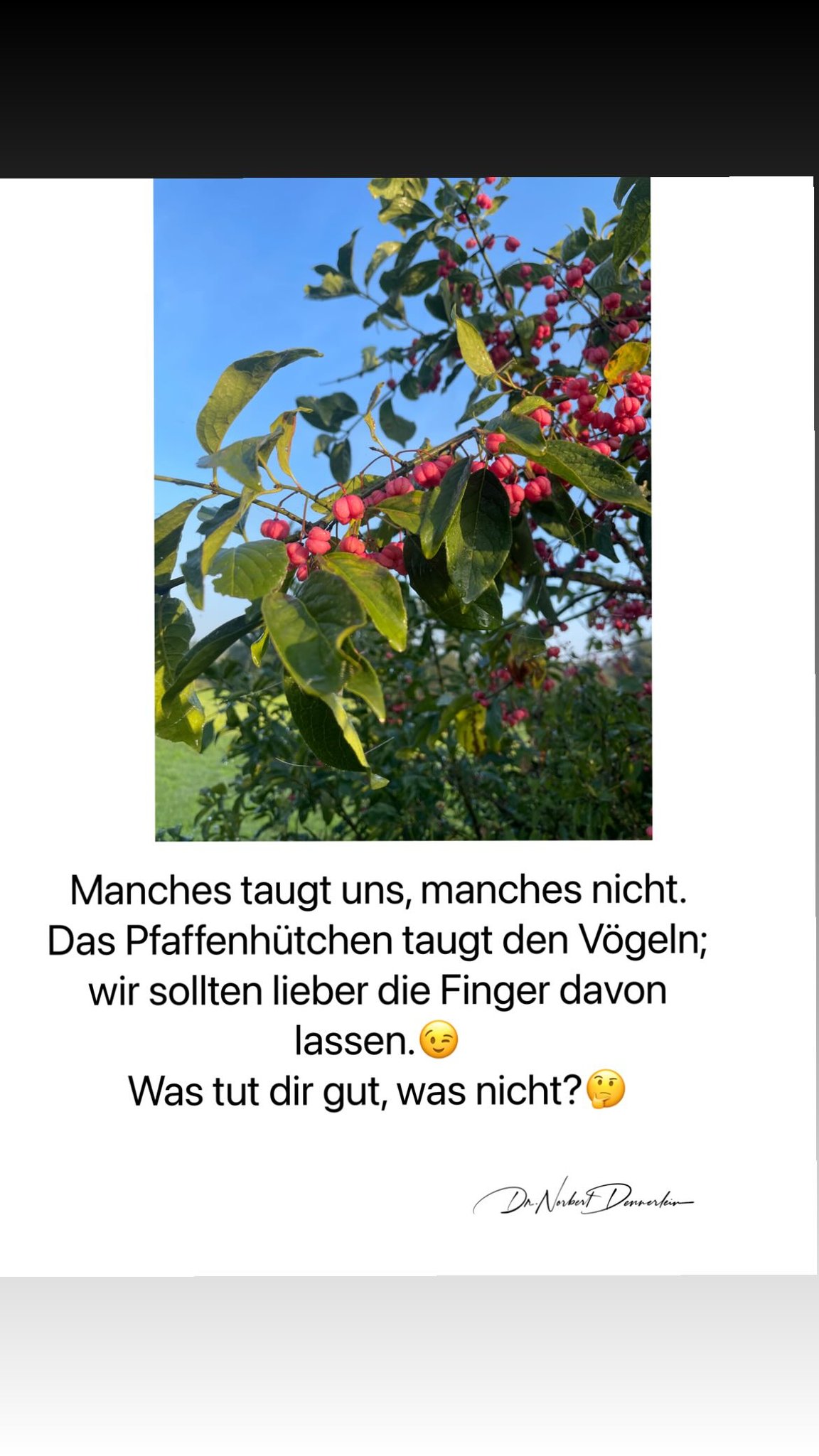 Manches taugt uns, manches nicht