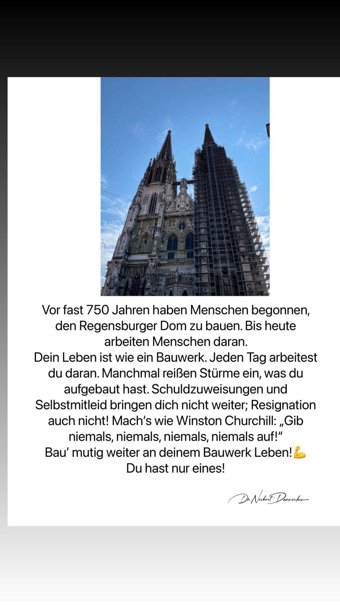 Vor fast 750 Jahren haben Menschen begonnen, den Regensburger Dom zu bauen