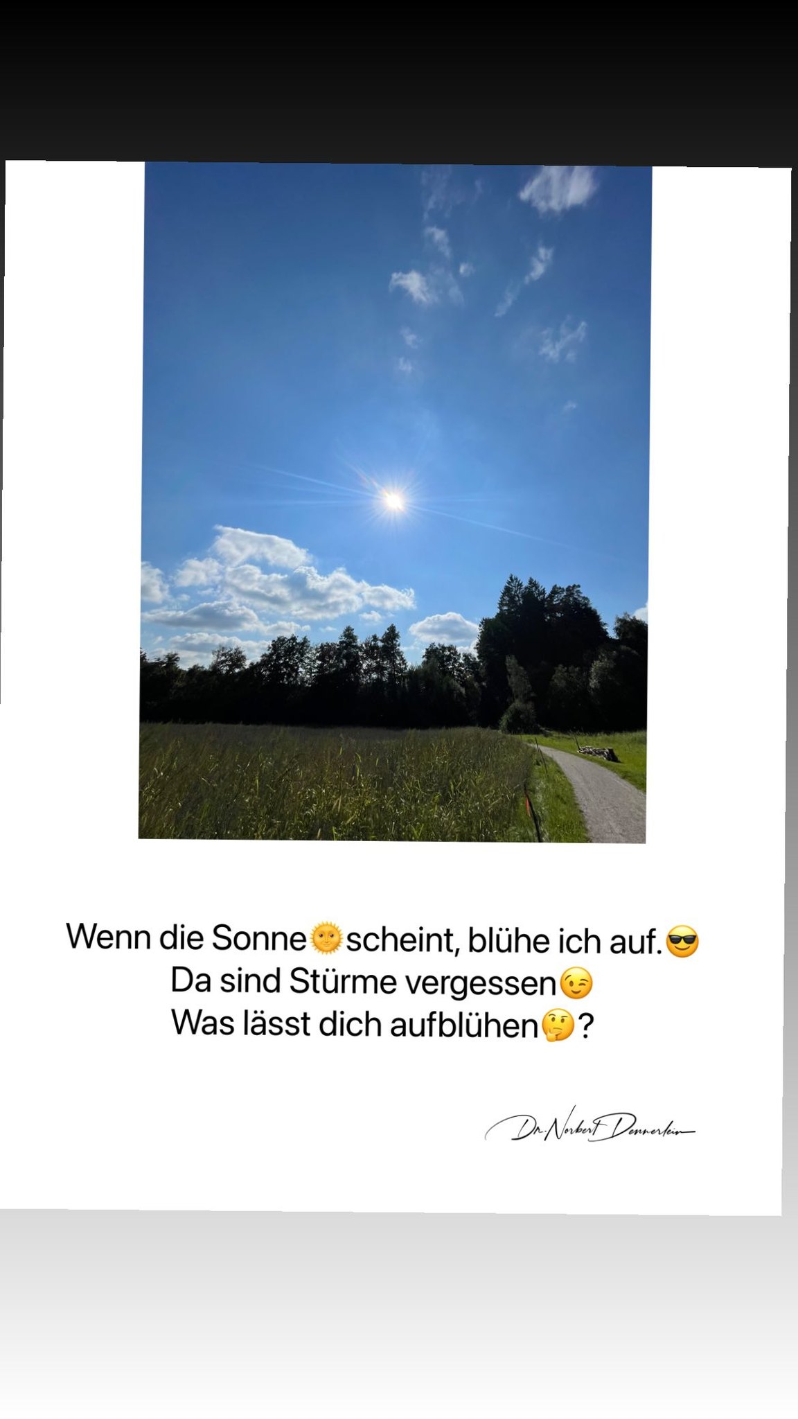 Wenn die Sonne € scheint, blühe ich auf