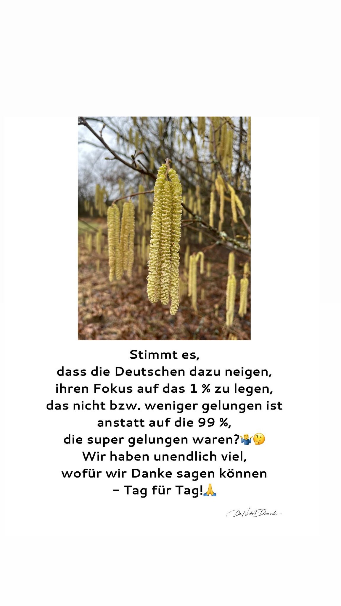 Stimmt es, dass die Deutschen dazu neigen, ihren Fokus auf das 1 % zu