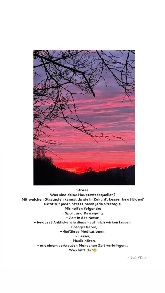 Dr. Norbert Dennerlein: Stress
