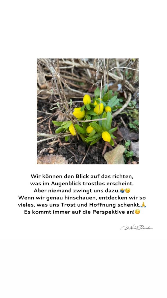 Dr. Norbert Dennerlein: Wir können den Blick auf das richten, was im Augenblick trostlos erscheint