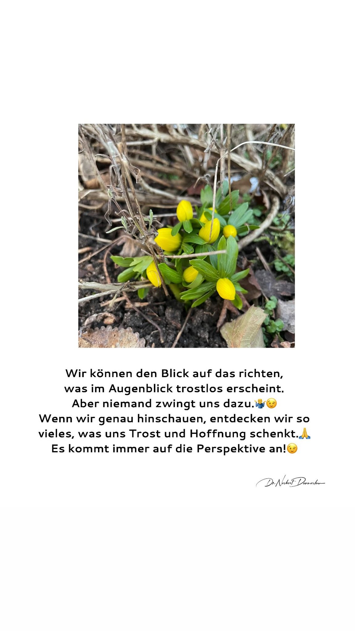 Wir können den Blick auf das richten, was im Augenblick trostlos erscheint