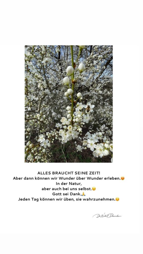 Dr. Norbert Dennerlein: ALLES