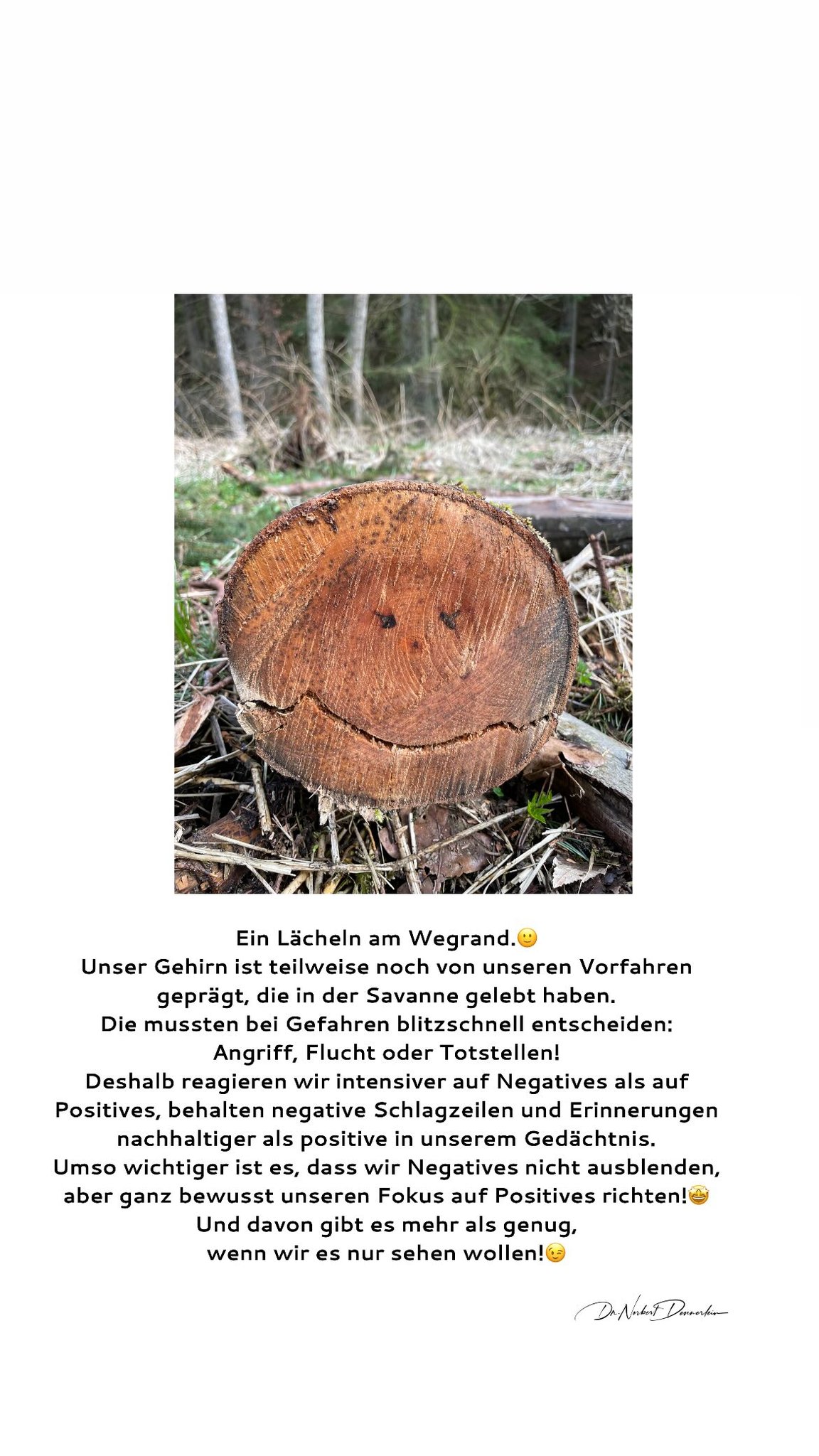Ein Lächeln am Wegrand