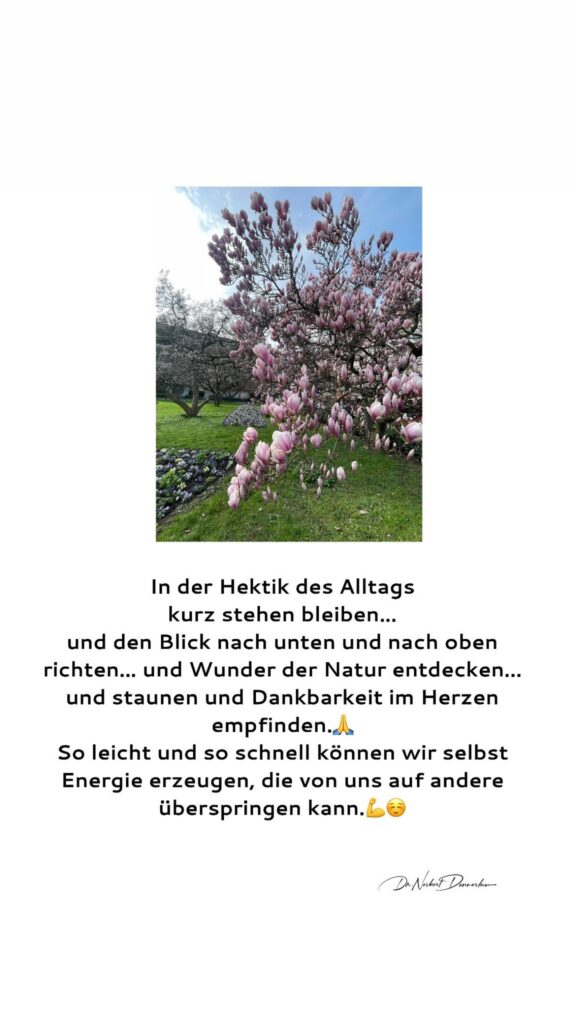 Dr. Norbert Dennerlein: In der Hektik des Alltags kurz stehen bleiben