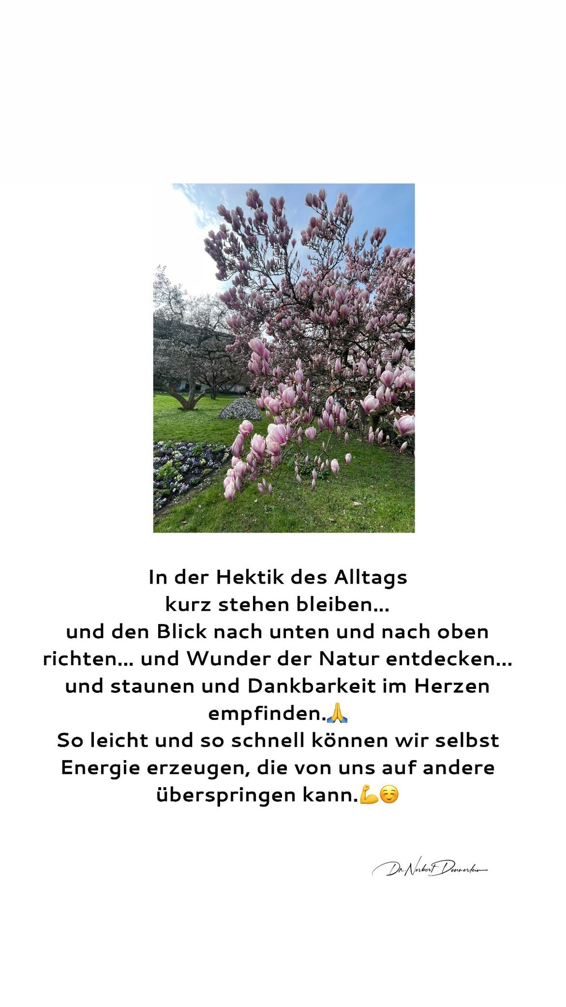 In der Hektik des Alltags kurz stehen bleiben