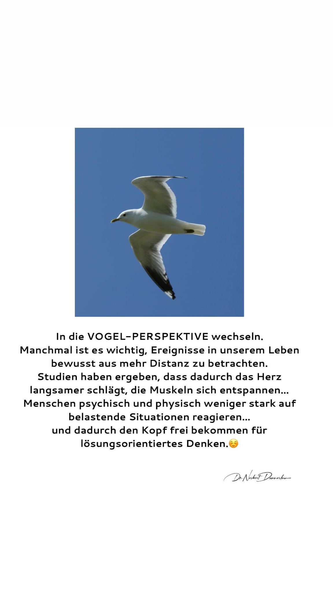 In die VOGEL - PERSPEKTIVE wechseln