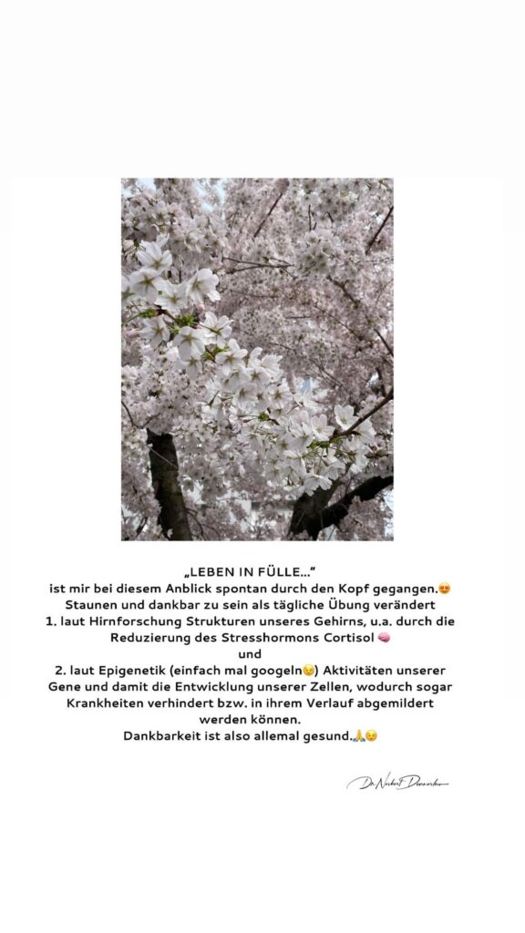 Dr. Norbert Dennerlein: „LEBEN IN FULLE