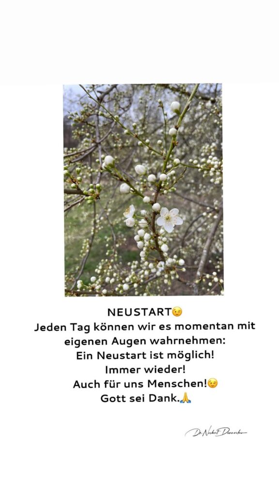 Dr. Norbert Dennerlein: NEUSTART