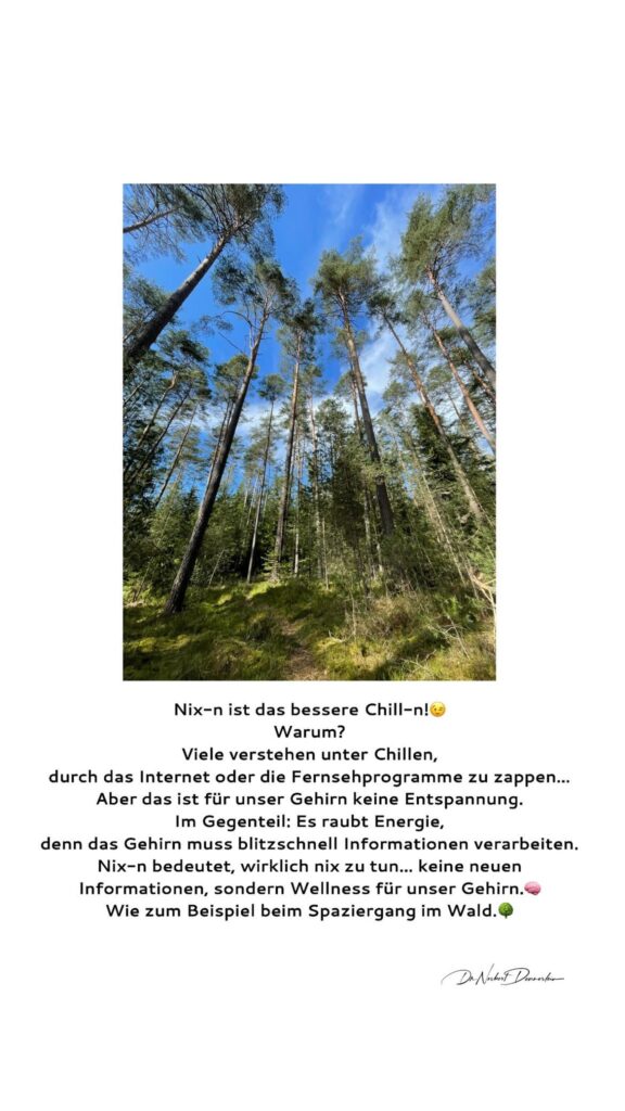 Dr. Norbert Dennerlein: Nix - n ist das bessere Chill - n