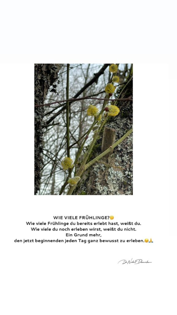 Dr. Norbert Dennerlein: WIE VIELE