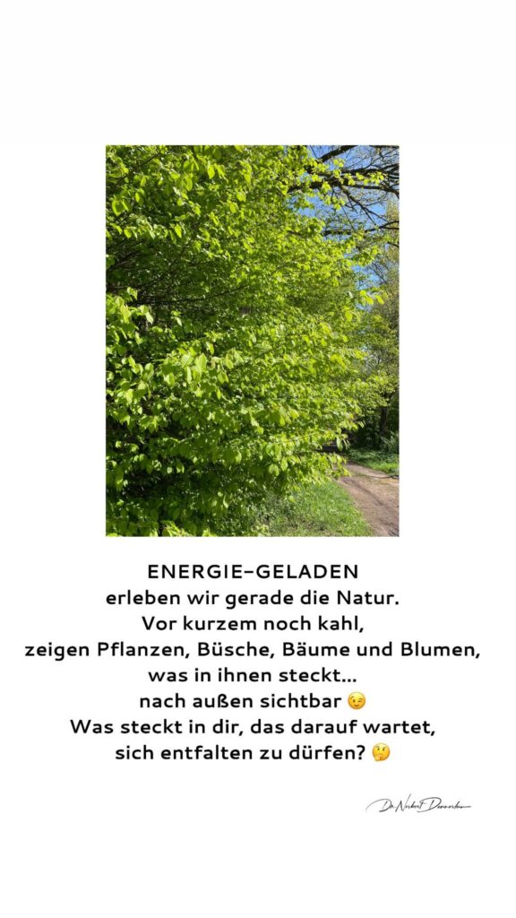 Dr. Norbert Dennerlein: ENERGIE - GELADEN erleben wir gerade die Natur