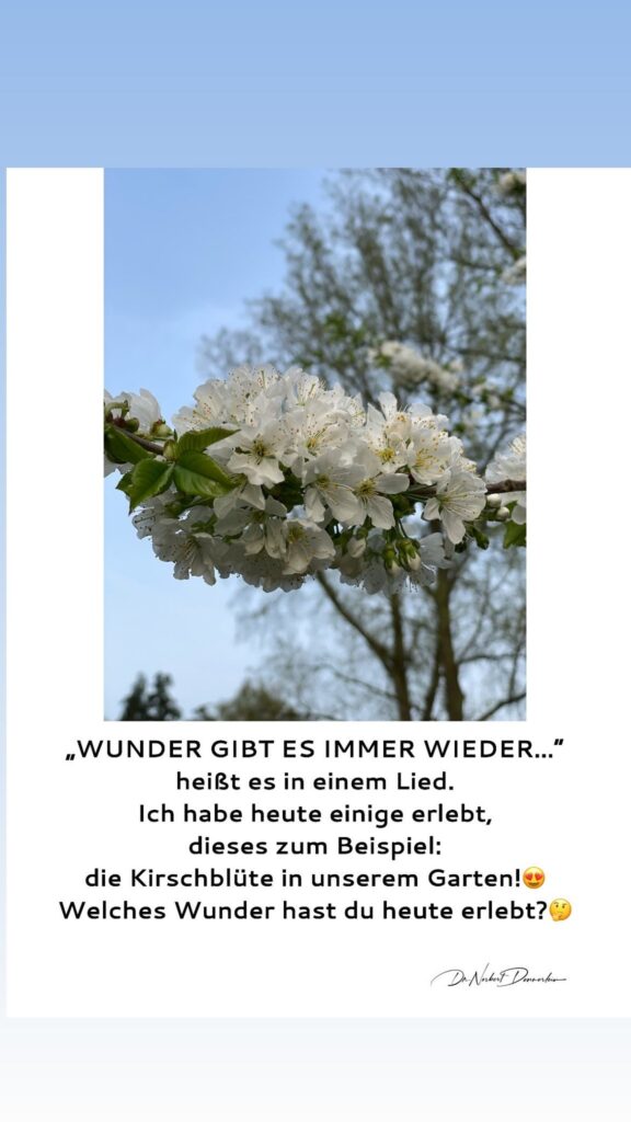 Dr. Norbert Dennerlein: Heißt es in einem Lied