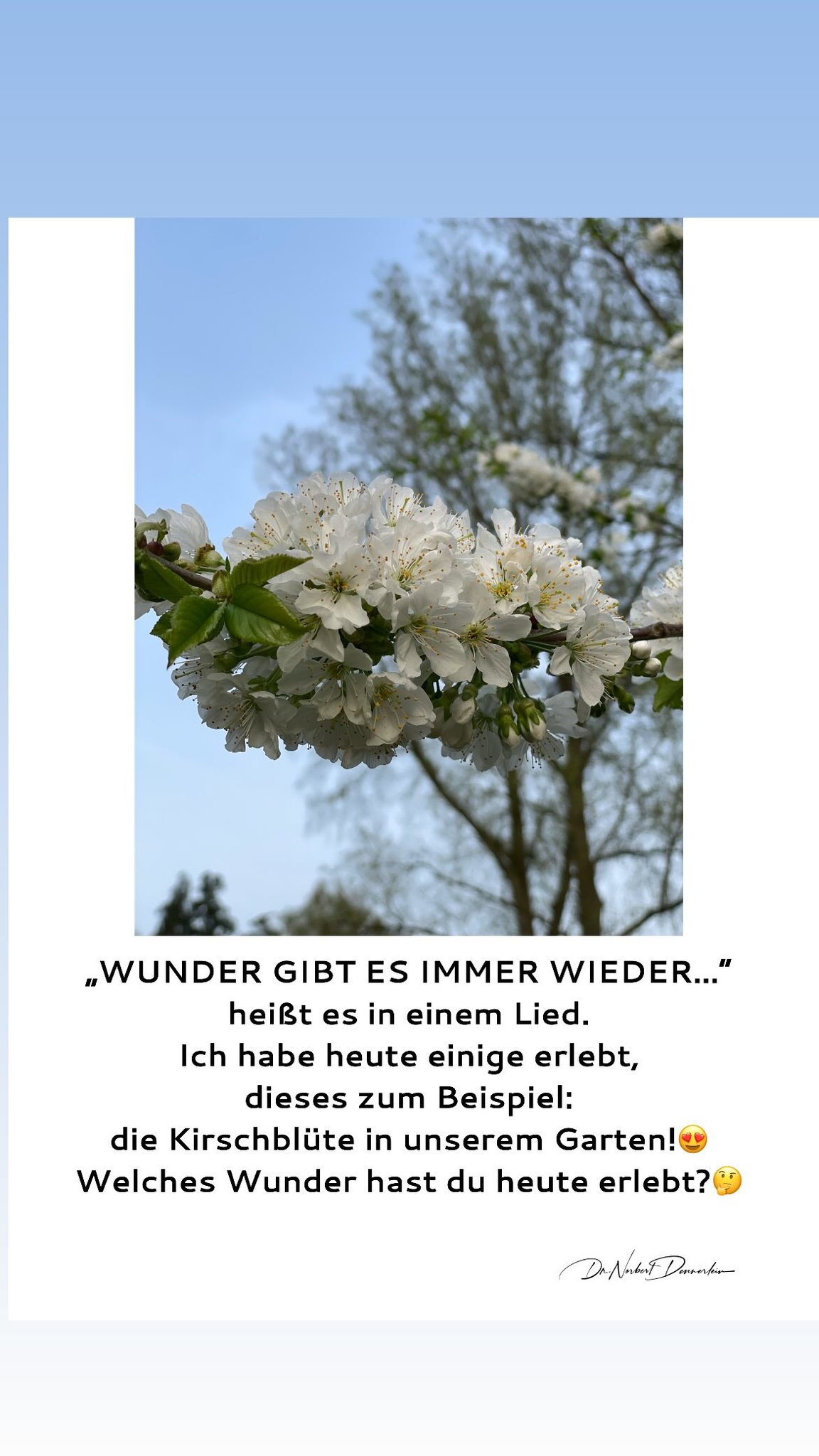 Heißt es in einem Lied