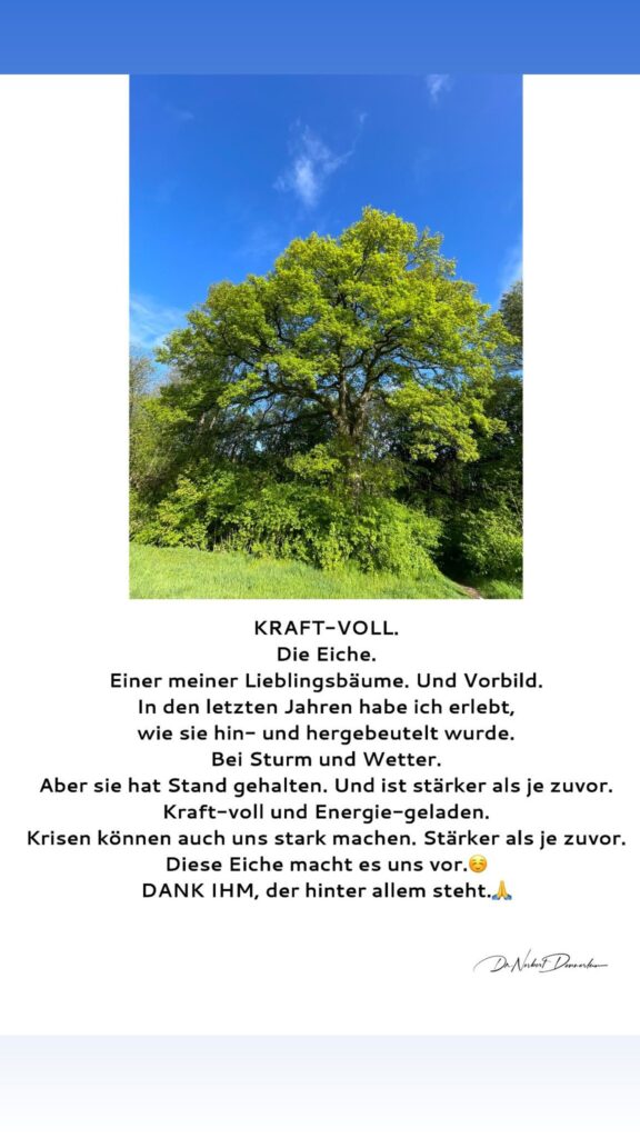 Dr. Norbert Dennerlein: KRAFT - VOLL