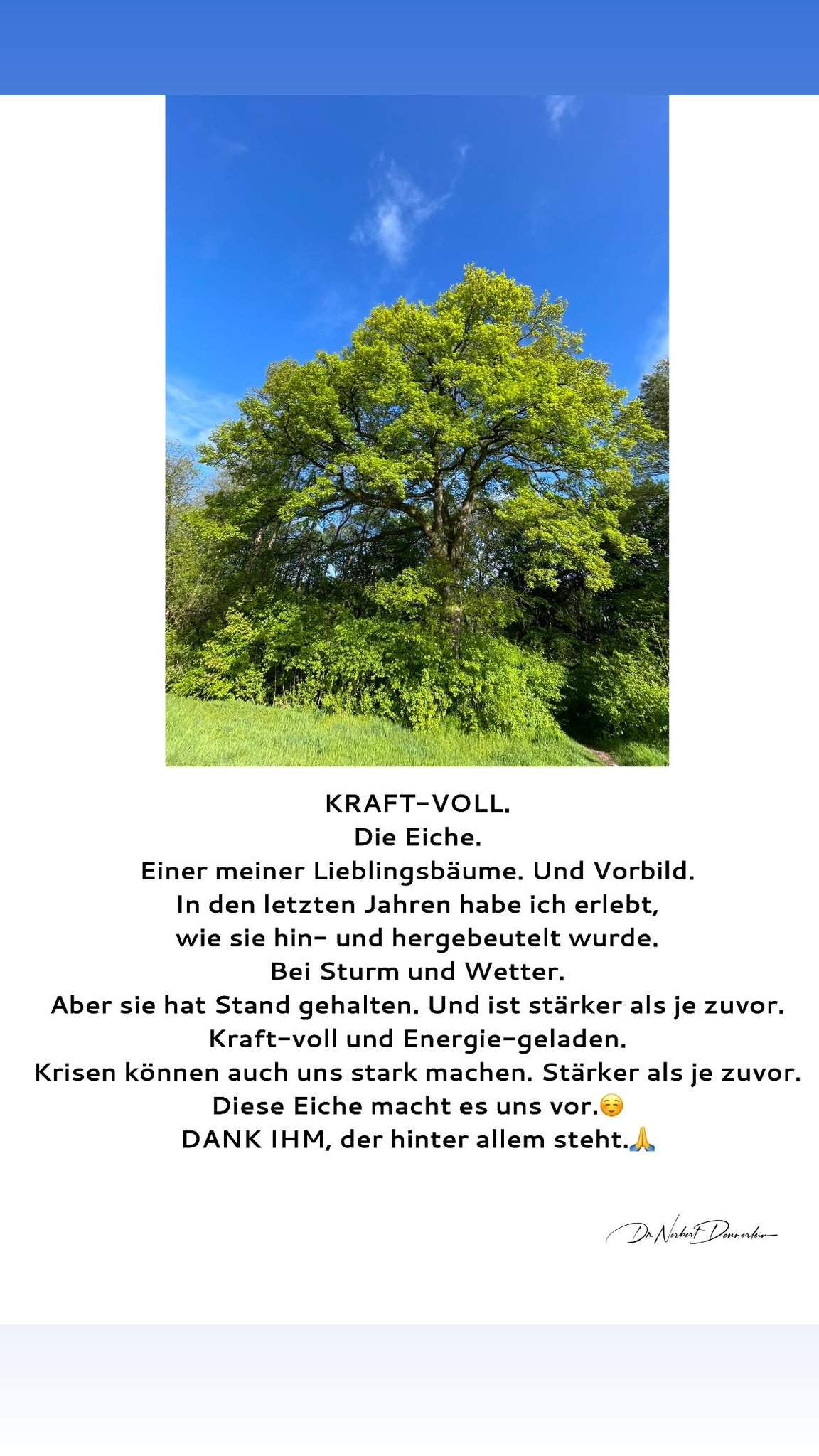 April 2024 - (19): KRAFT - VOLL 1 KRAFT - VOLL