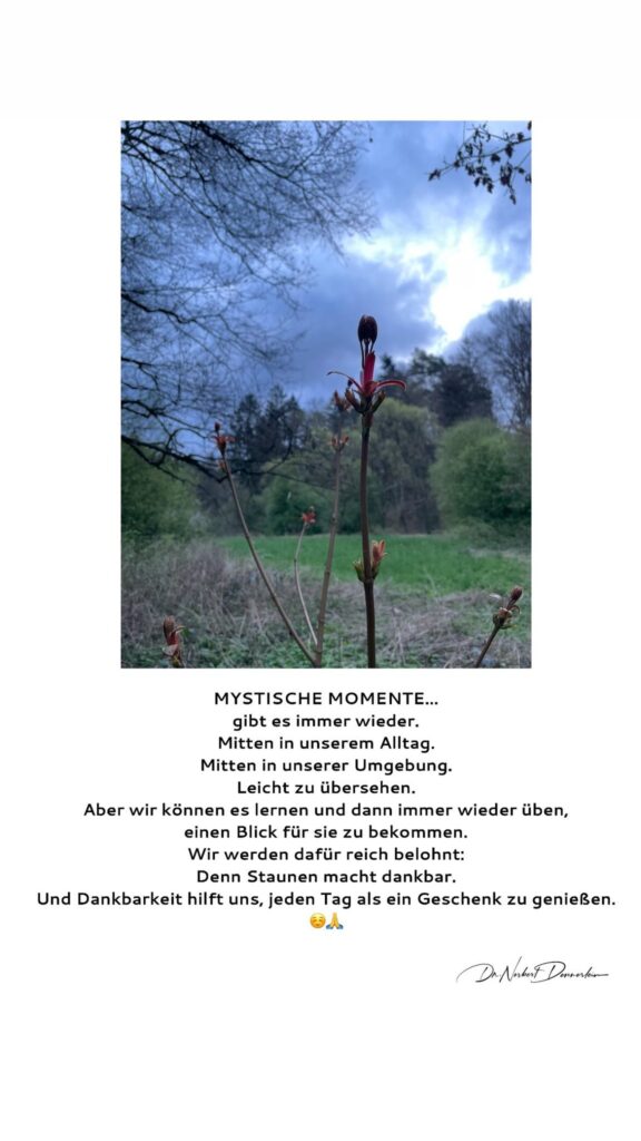Dr. Norbert Dennerlein: MYSTISCHE