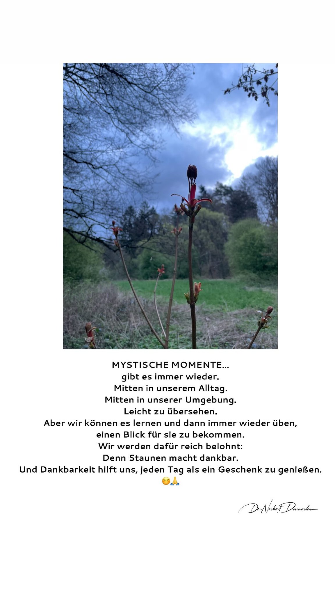 MYSTISCHE