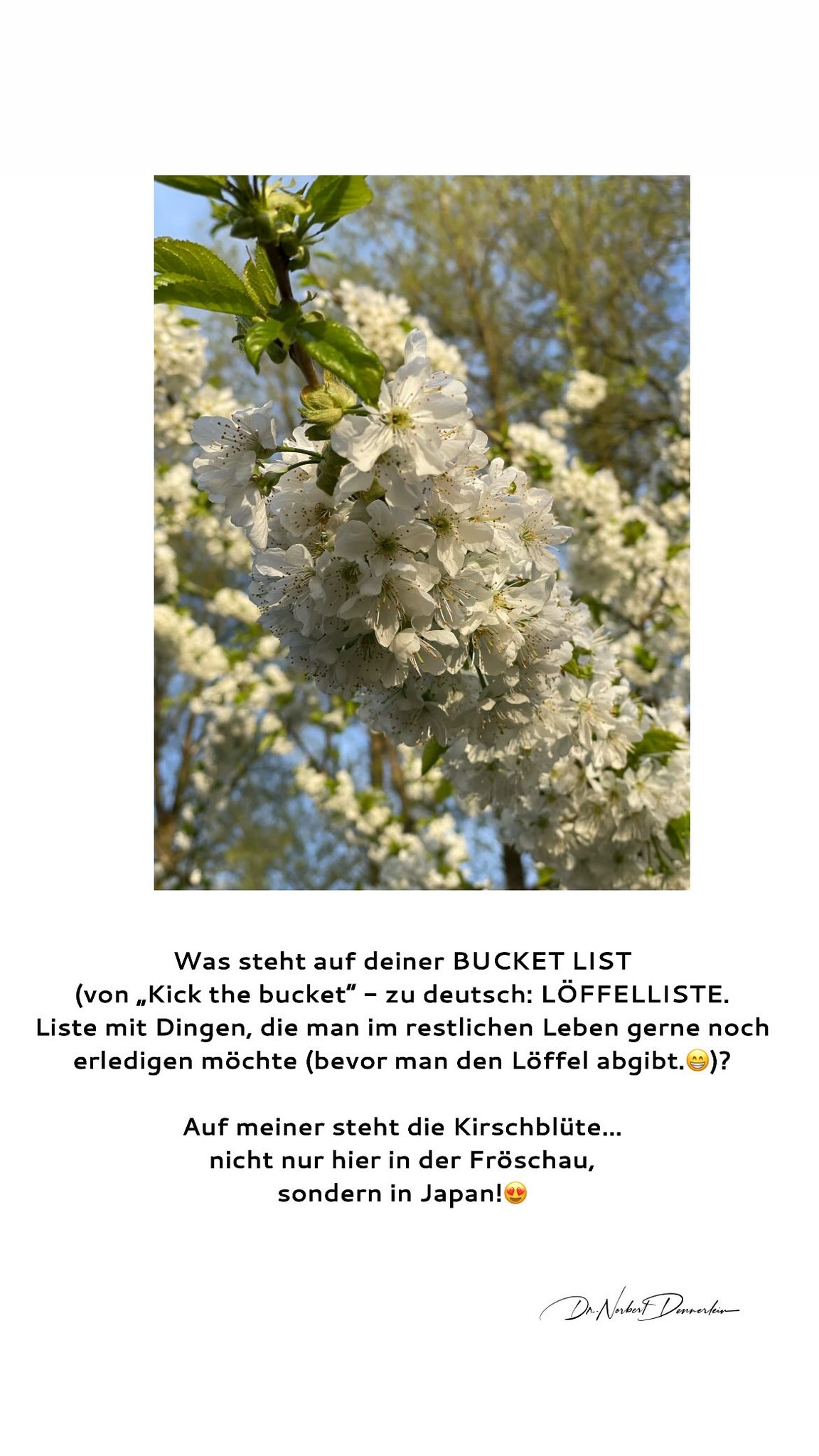 Was steht auf deiner BUCKET LIST (von „Kick the bucket - zu deutsch: LÖFFELLISTE