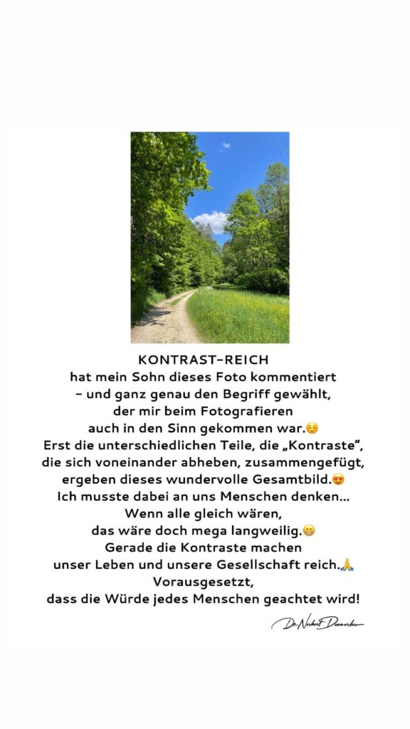 Dr. Norbert Dennerlein: KONTRAST - REICH hat mein Sohn dieses Foto kommentiert - und ganz genau den