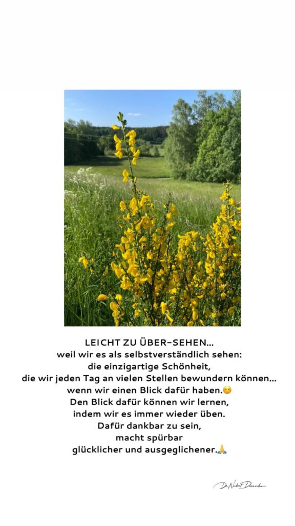 Dr. Norbert Dennerlein: LEICHT